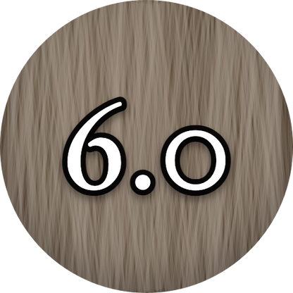 L'Oréal Inoa 6.0