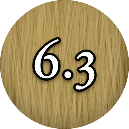 L'Oréal Inoa 6.3
