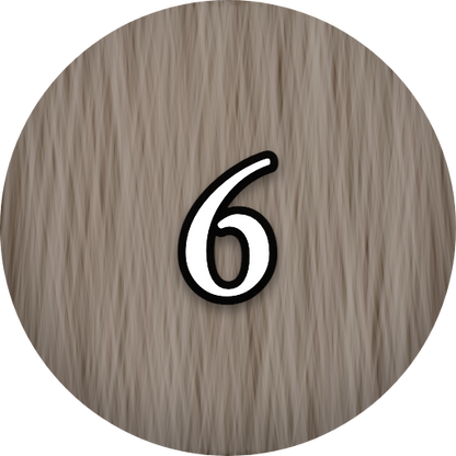 L'Oréal Inoa 6